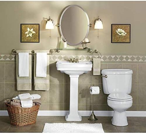Moen DN6850BN Toilet Paper Holder Brushed Nickel
